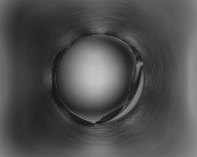 X0000088620638200705251242