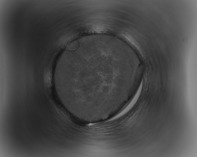 X0000088620640200705251242
