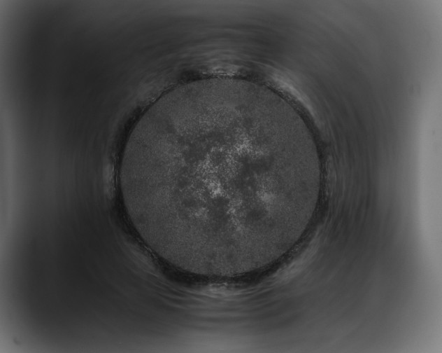 X0000088620641200705251242