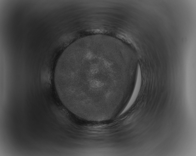 X0000088620643200705251242