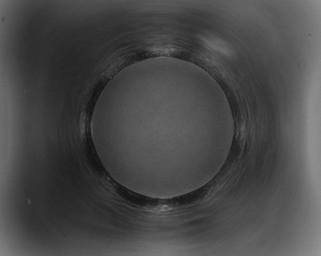 X0000088620647200705251242