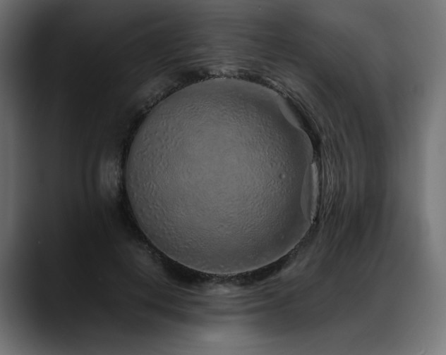 X0000088620648200705251242