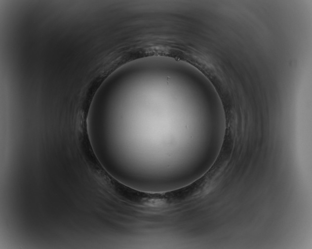 X0000088620649200705251242