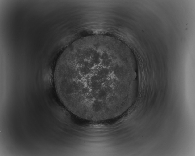 X0000088620650200705251242