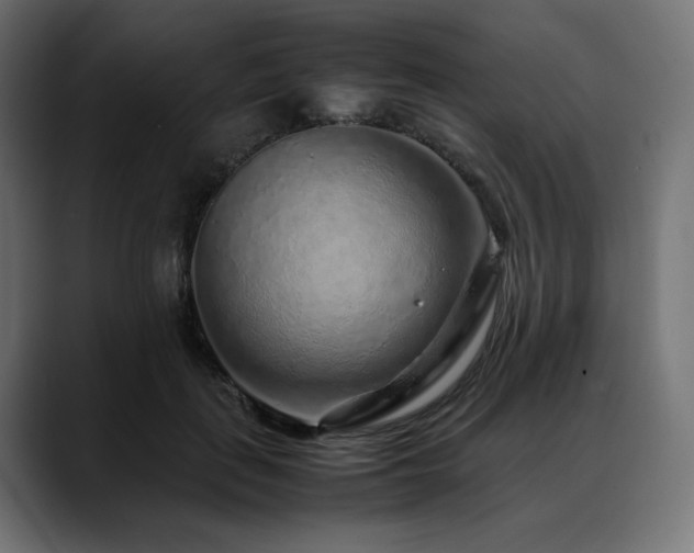 X0000088620651200705251242