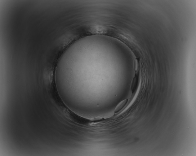 X0000088620652200705251242