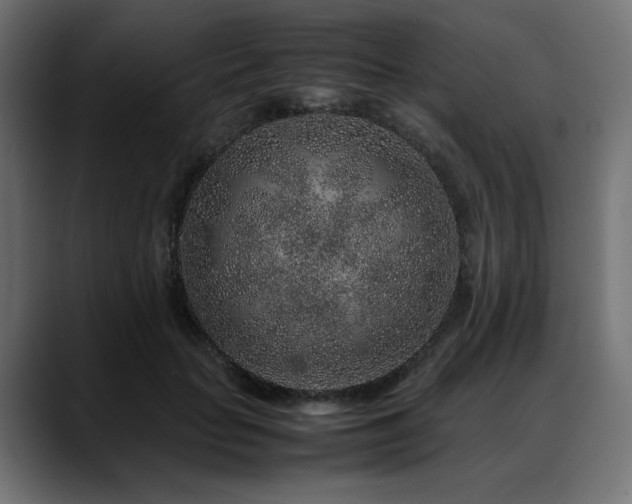 X0000088620653200705251242