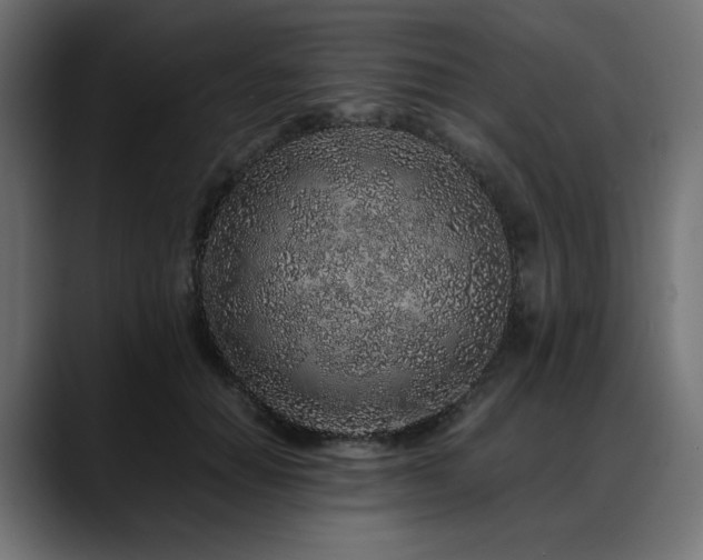 X0000088620654200705251242
