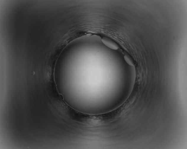 X0000088620656200705251242