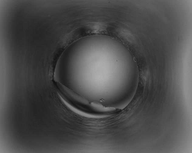 X0000088620657200705251242