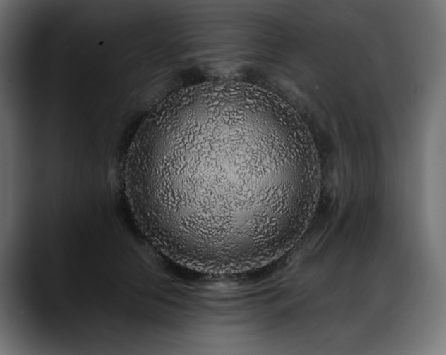 X0000088620658200705251242