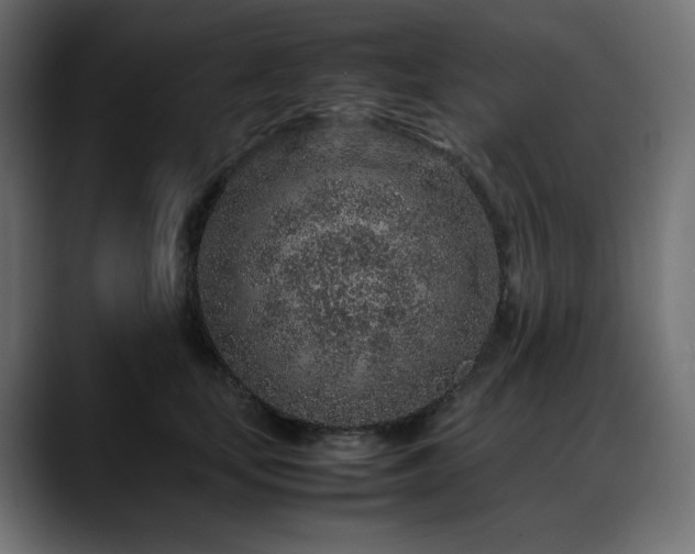 X0000088620659200705251242