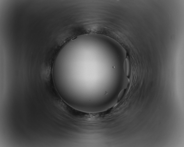 X0000088620660200705251242