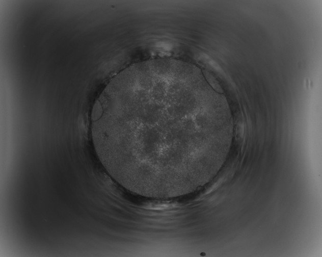 X0000088620661200705251242
