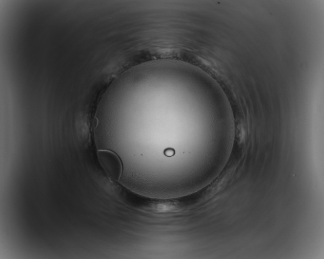X0000088620662200705251242