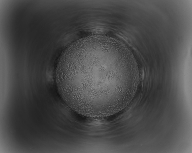 X0000088620663200705251242