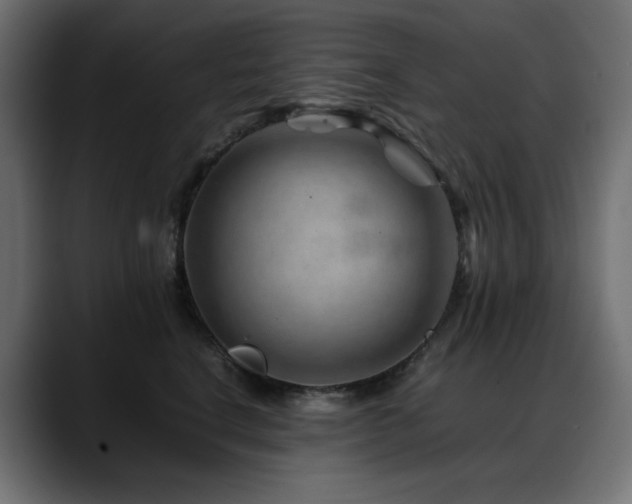 X0000088620664200705251242