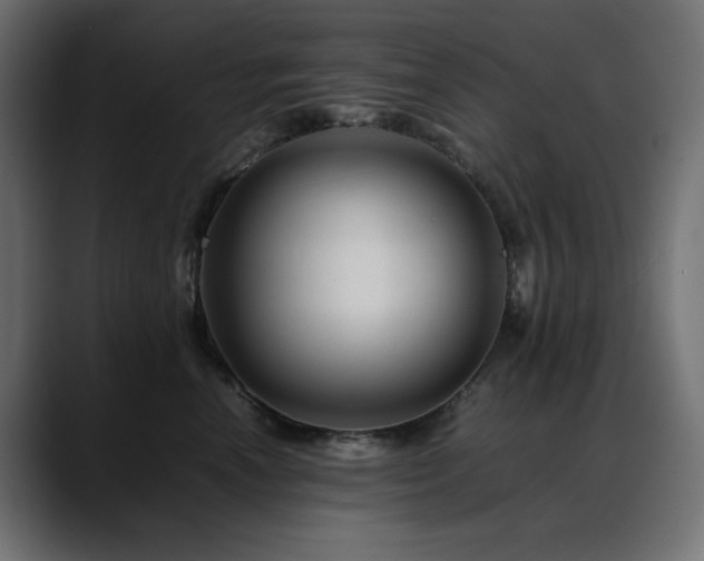 X0000088620666200705251242