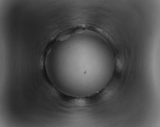 X0000088620668200705251242