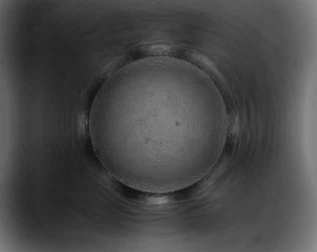 X0000088620669200705251242