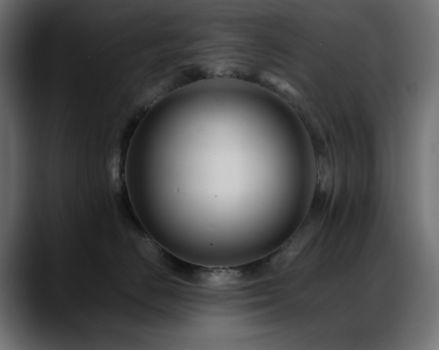 X0000088620670200705251242