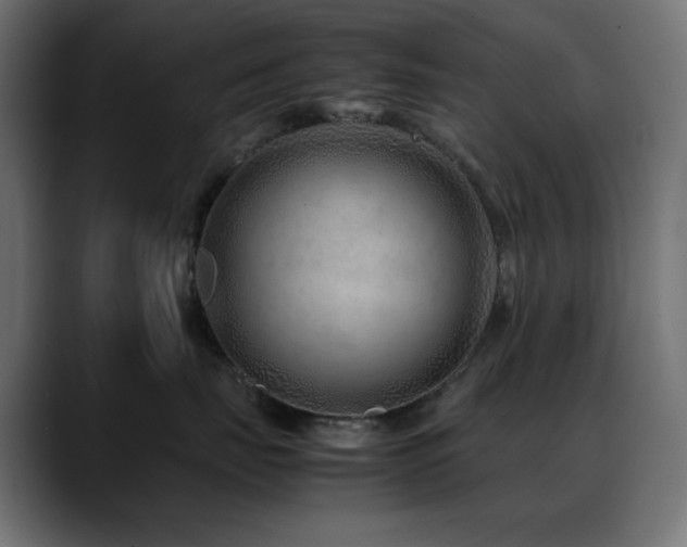 X0000088620671200705251242