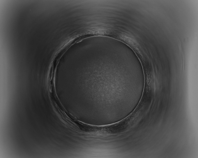 X0000088620674200705251242