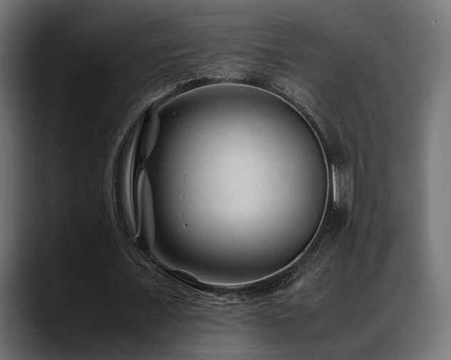 X0000088620675200705251242