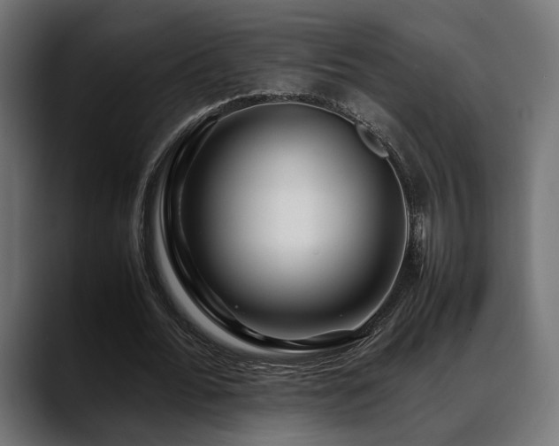 X0000088620676200705251242
