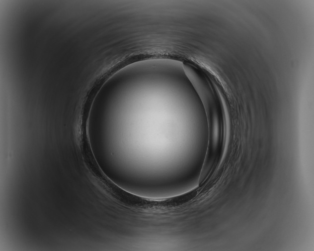 X0000088620677200705251242