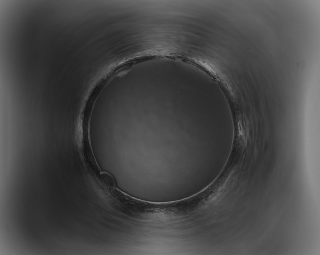 X0000088620678200705251242