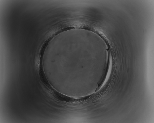X0000088620679200705251242