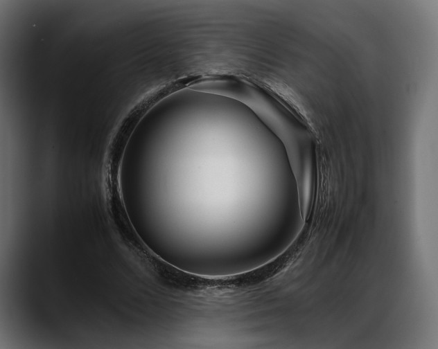 X0000088620680200705251242