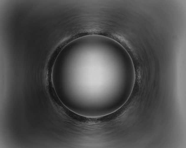 X0000088620684200705251241