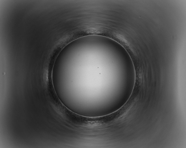 X0000088620686200705251241