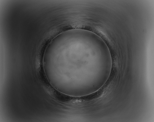 X0000088620687200705251241