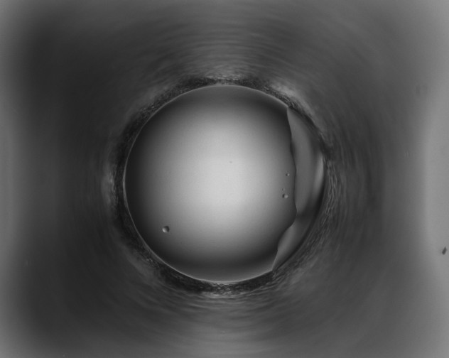 X0000088620688200705251241