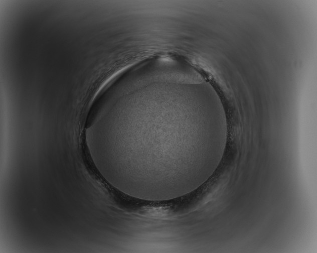 X0000088620689200705251241