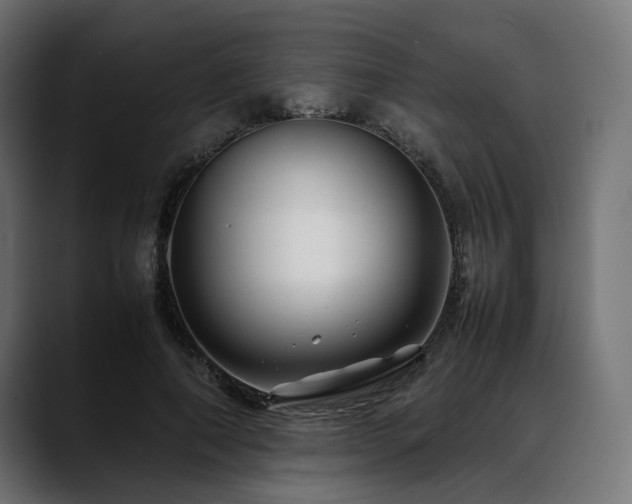 X0000088620690200705251241