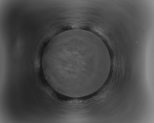 X0000088620691200705251241