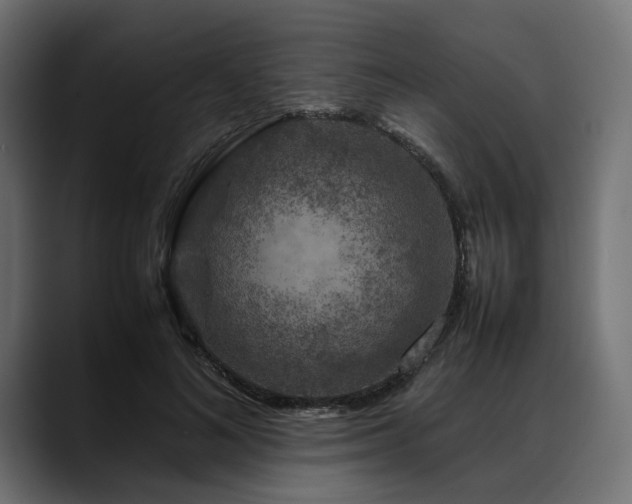 X0000088620692200705251241