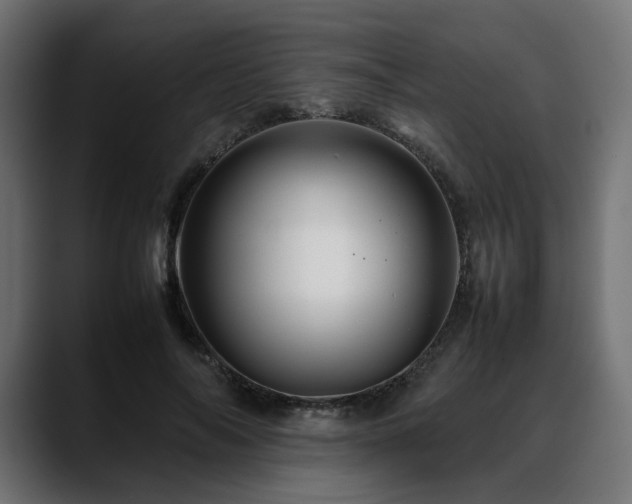 X0000088620694200705251241