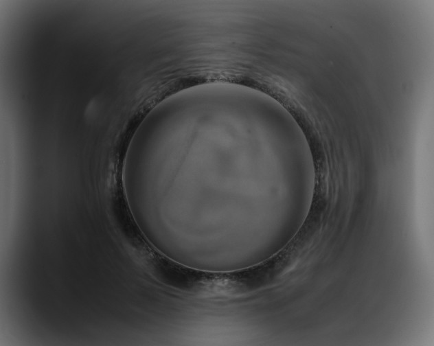 X0000088620695200705251241