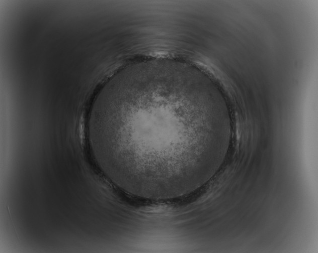 X0000088620696200705251241
