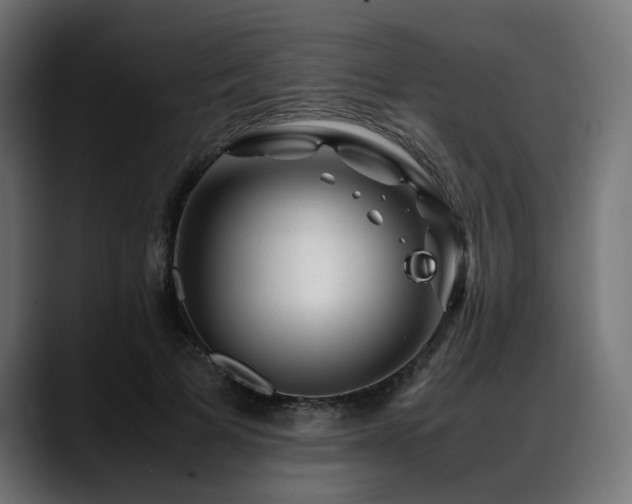X0000088620697200705251241