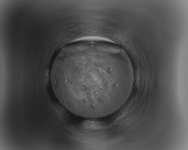 X0000088620699200705251241