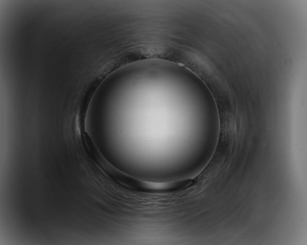 X0000088620700200705251241