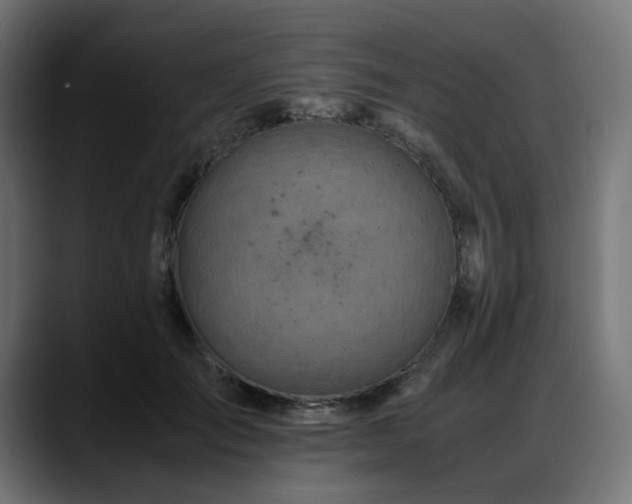 X0000088620701200705251241