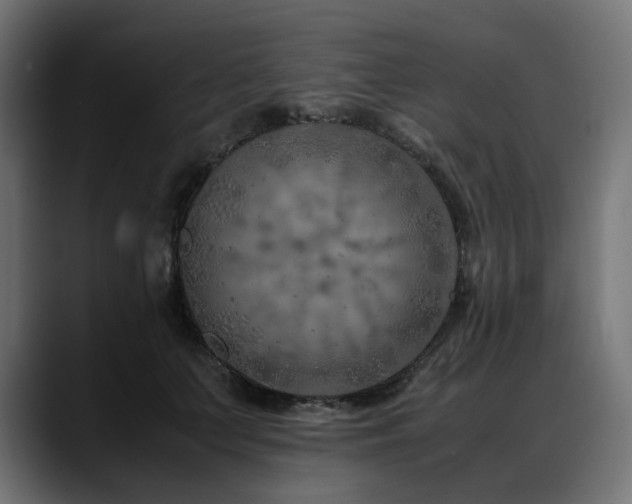X0000088620703200705251241