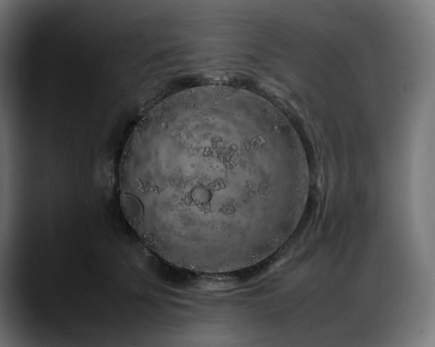 X0000088620707200705251241